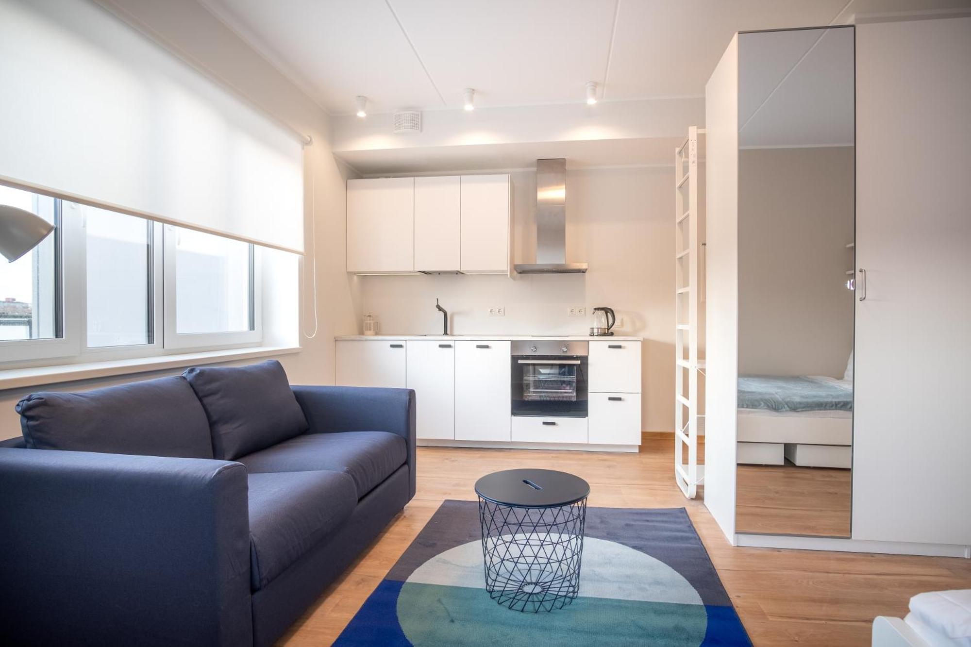 Spacious Mustamaee Apartments - Free Parking Ταλίν Εξωτερικό φωτογραφία